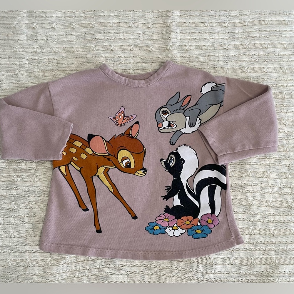 Zara Disney Long Sleeve